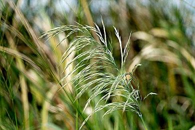 《巫师4》将赋予玩家更多控制权：玩法以玩家自主权为中心、玩法更加多样化